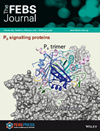 FEBS Journal雜志封面